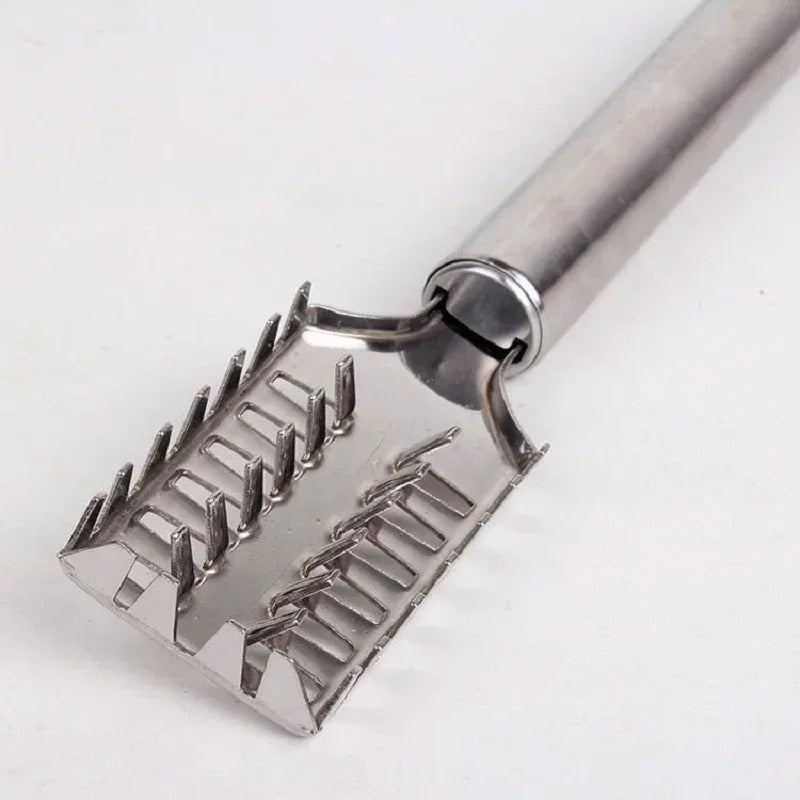 Fish Skin Brush