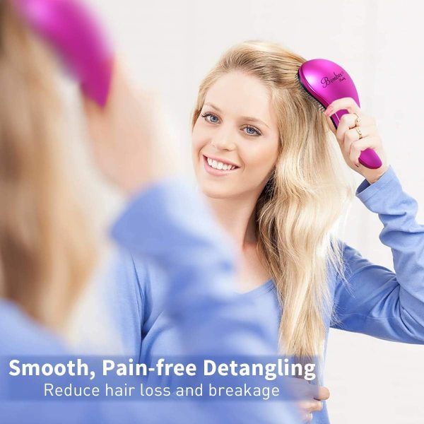 Detangling Hair Brush